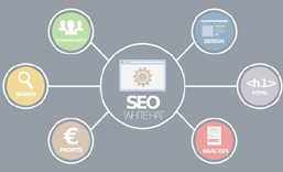 凤岗网站SEO 优化  推广